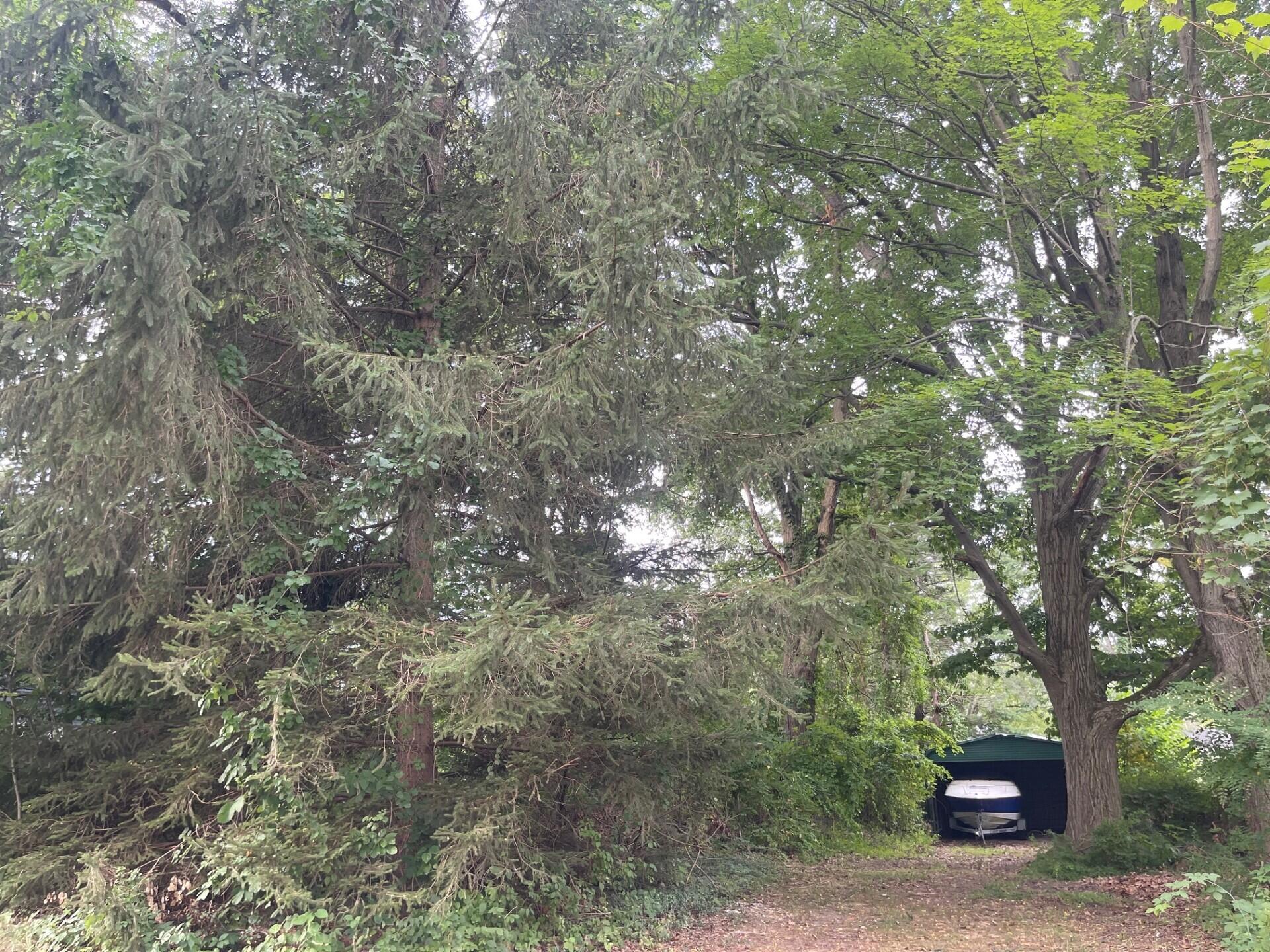 114 S Bronson Street