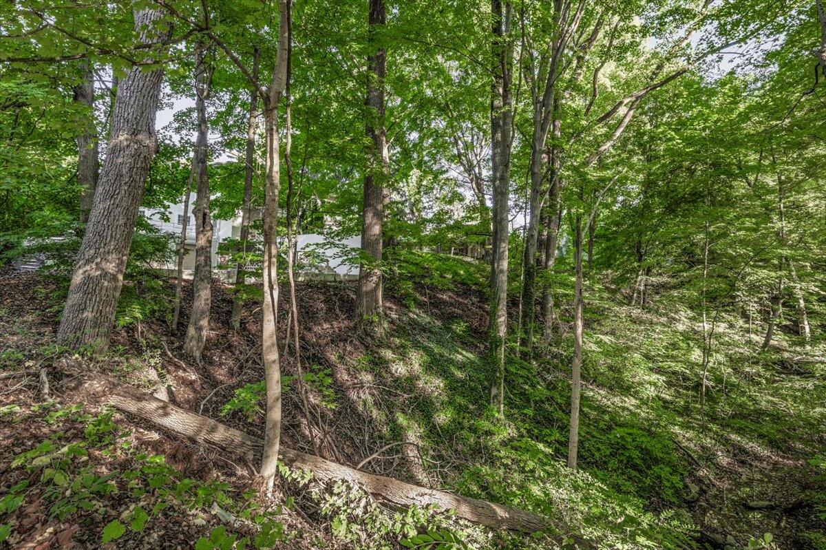 14847 Lakeshore Road