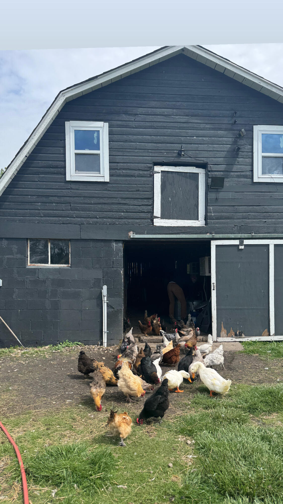 9962 Holden Road
