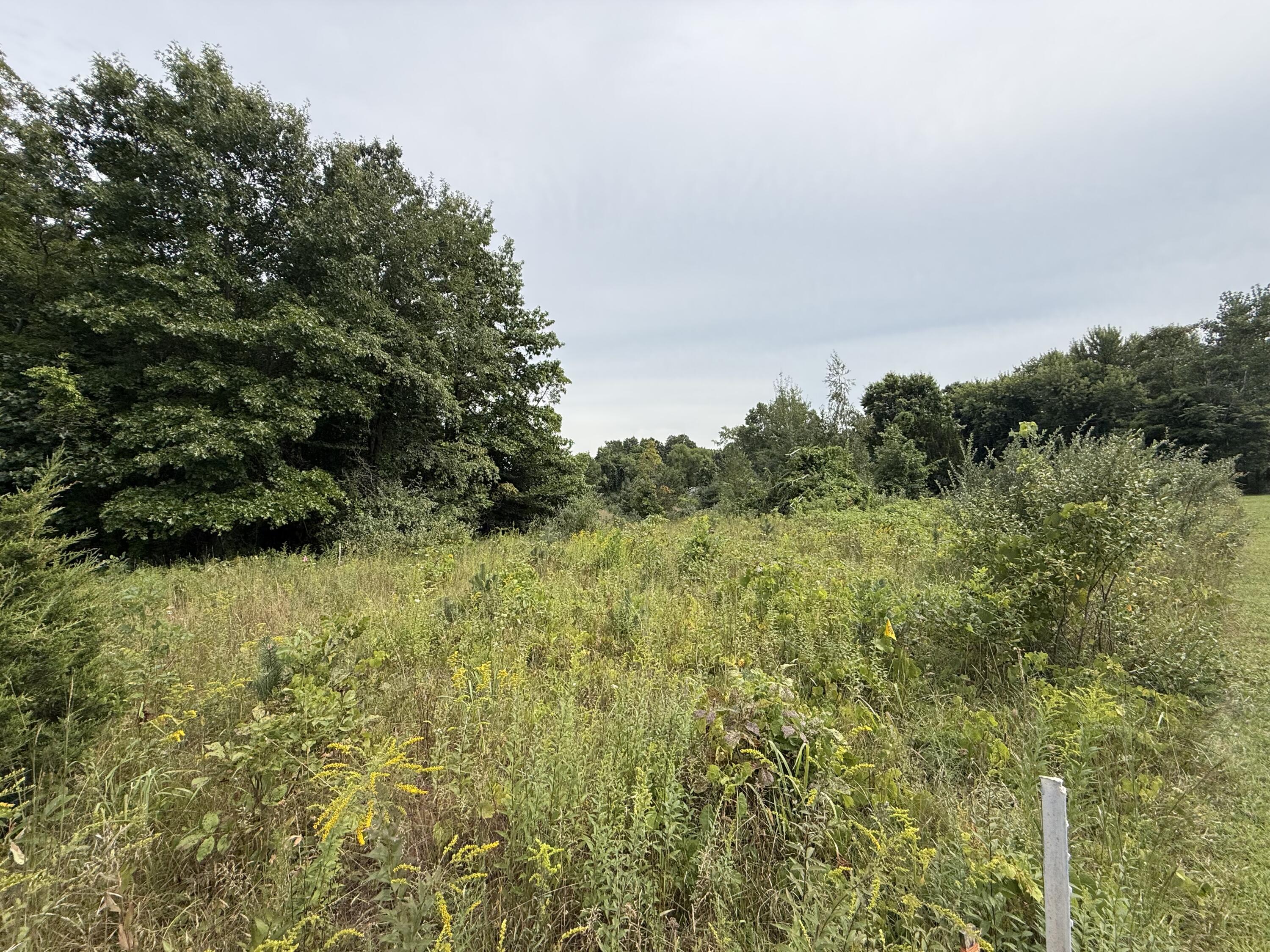 V/L Sawyer Road