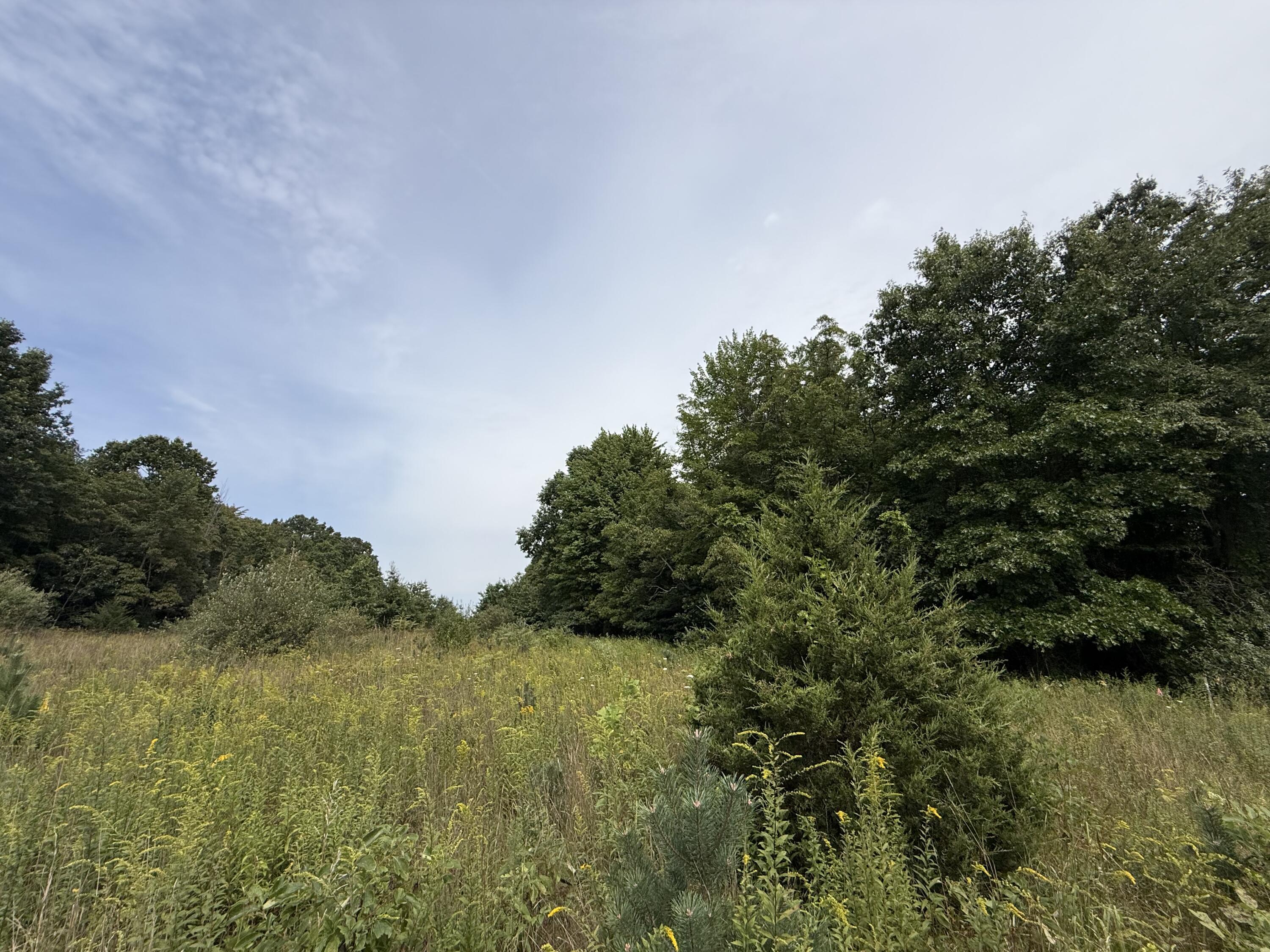 V/L Sawyer Road