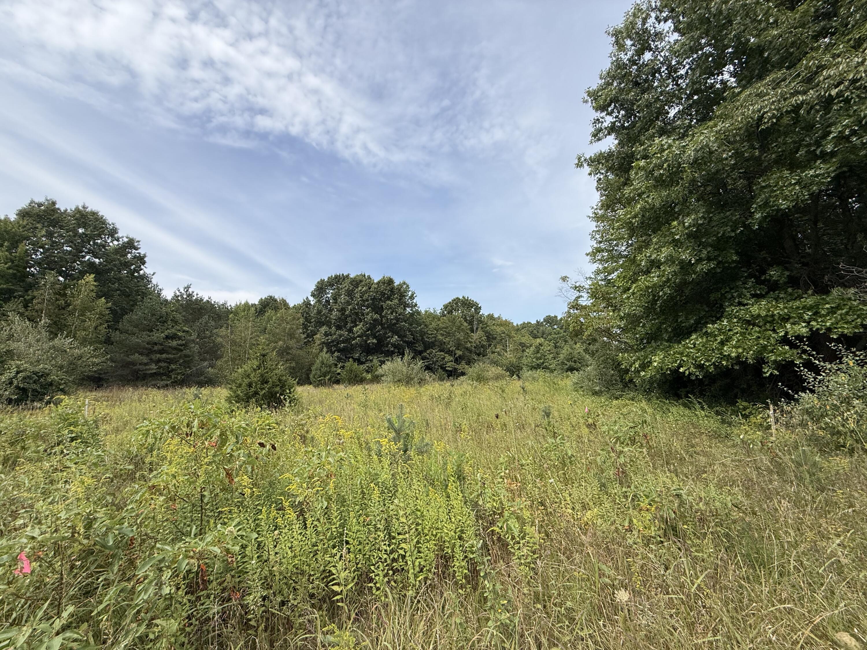 V/L Sawyer Road