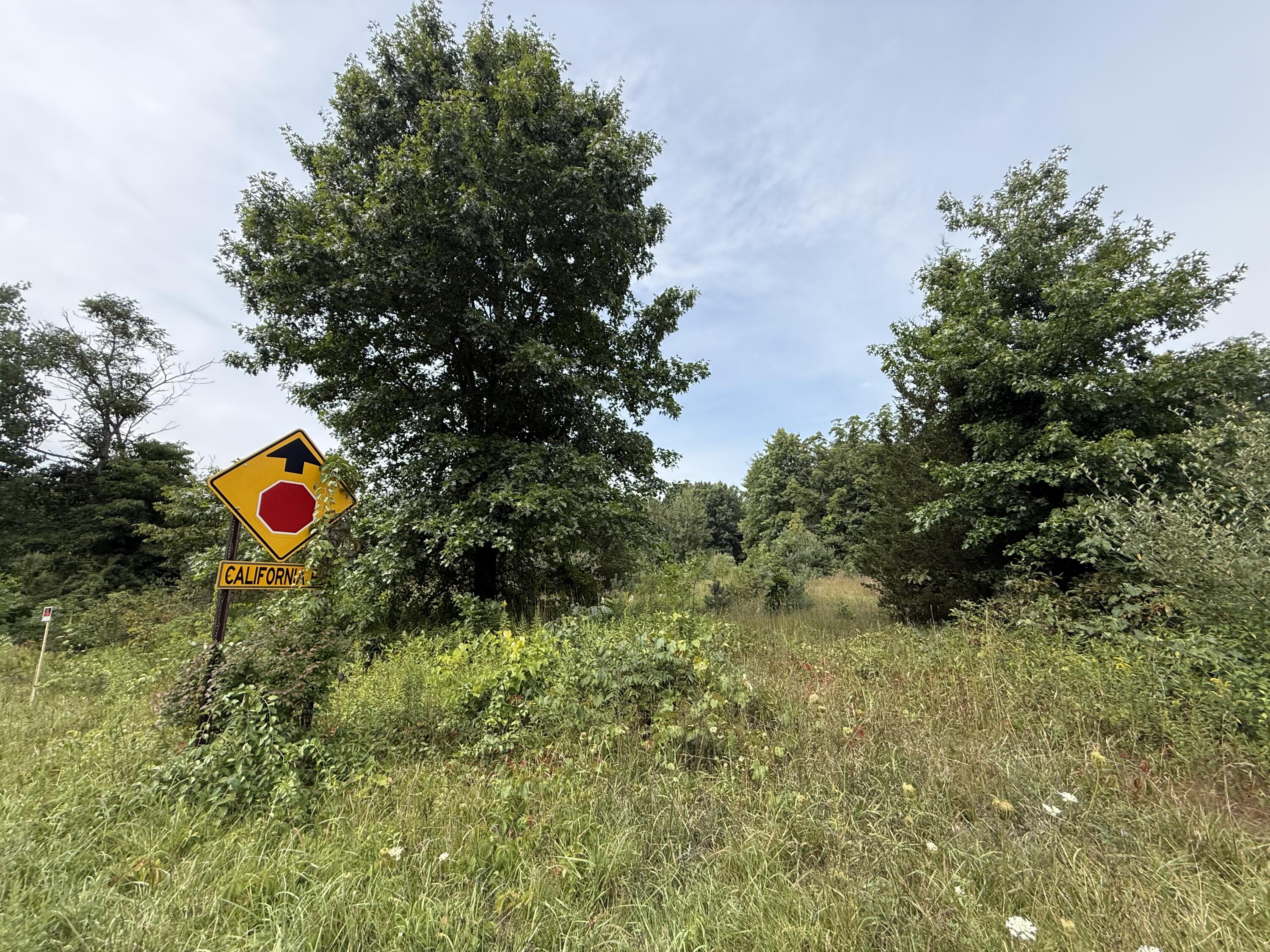 V/L Sawyer Road