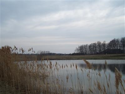Lot 11 N Halstead Drive