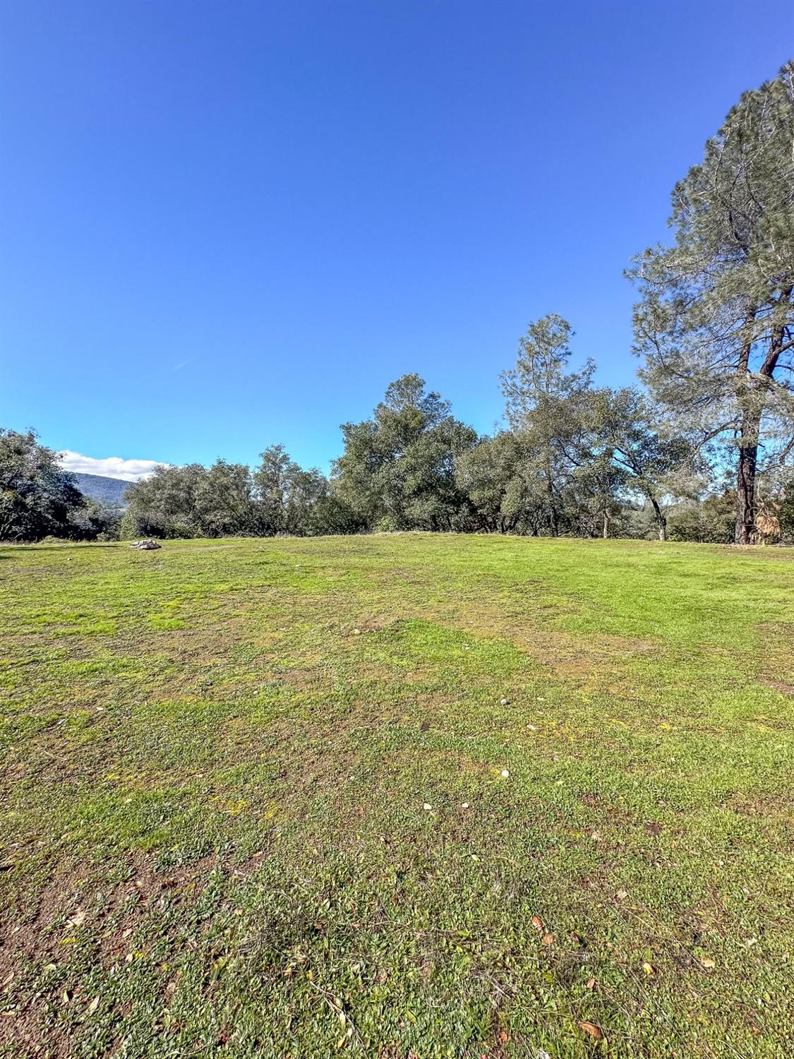 2159 Andreas Vista
