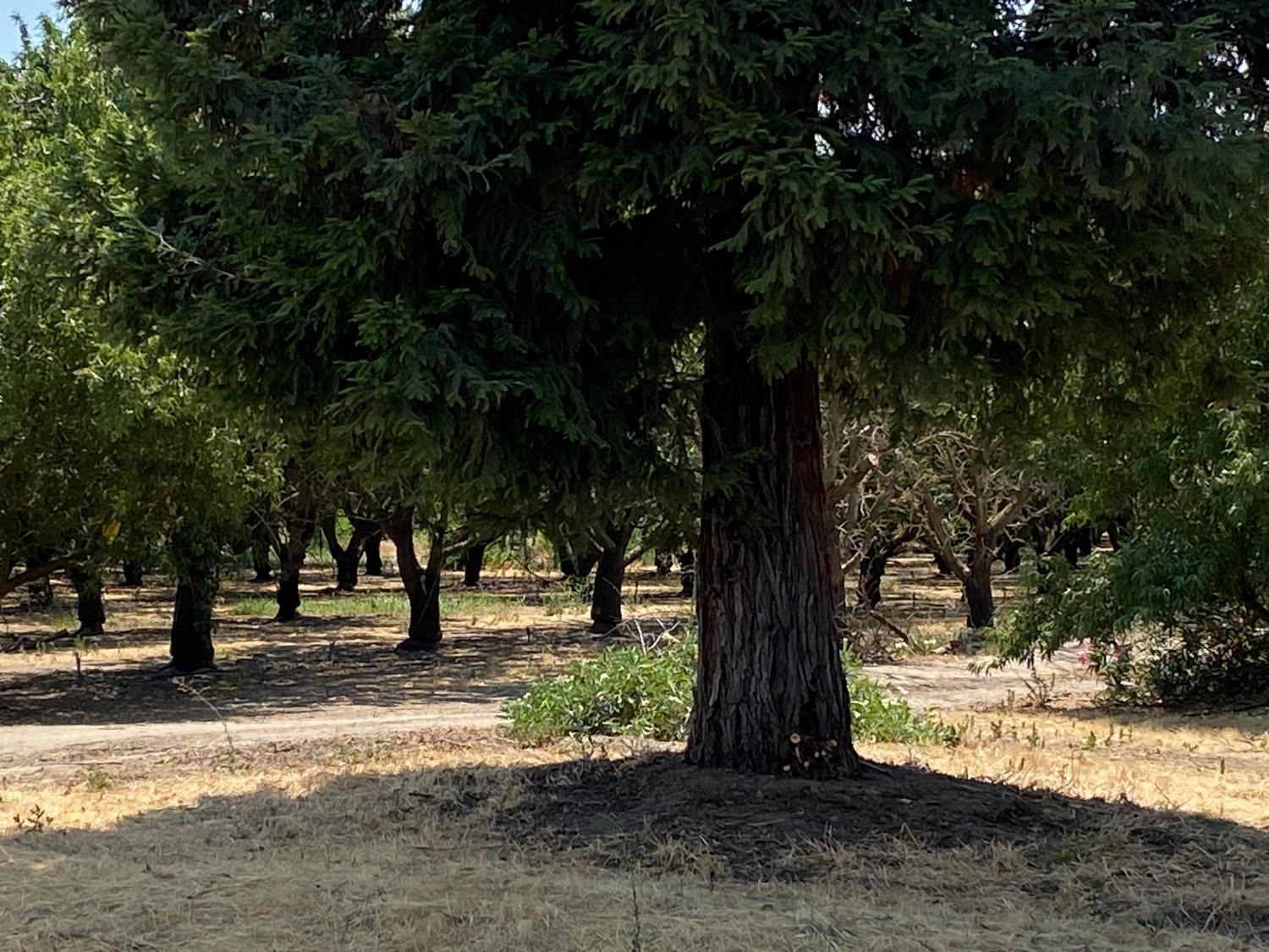 936 St Francis Avenue