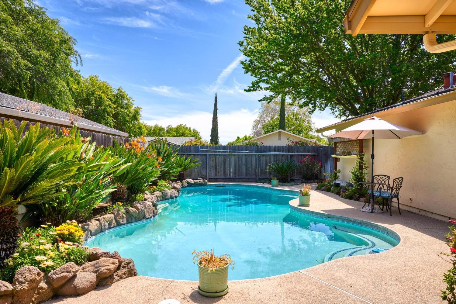 3900 Spring Oak Drive