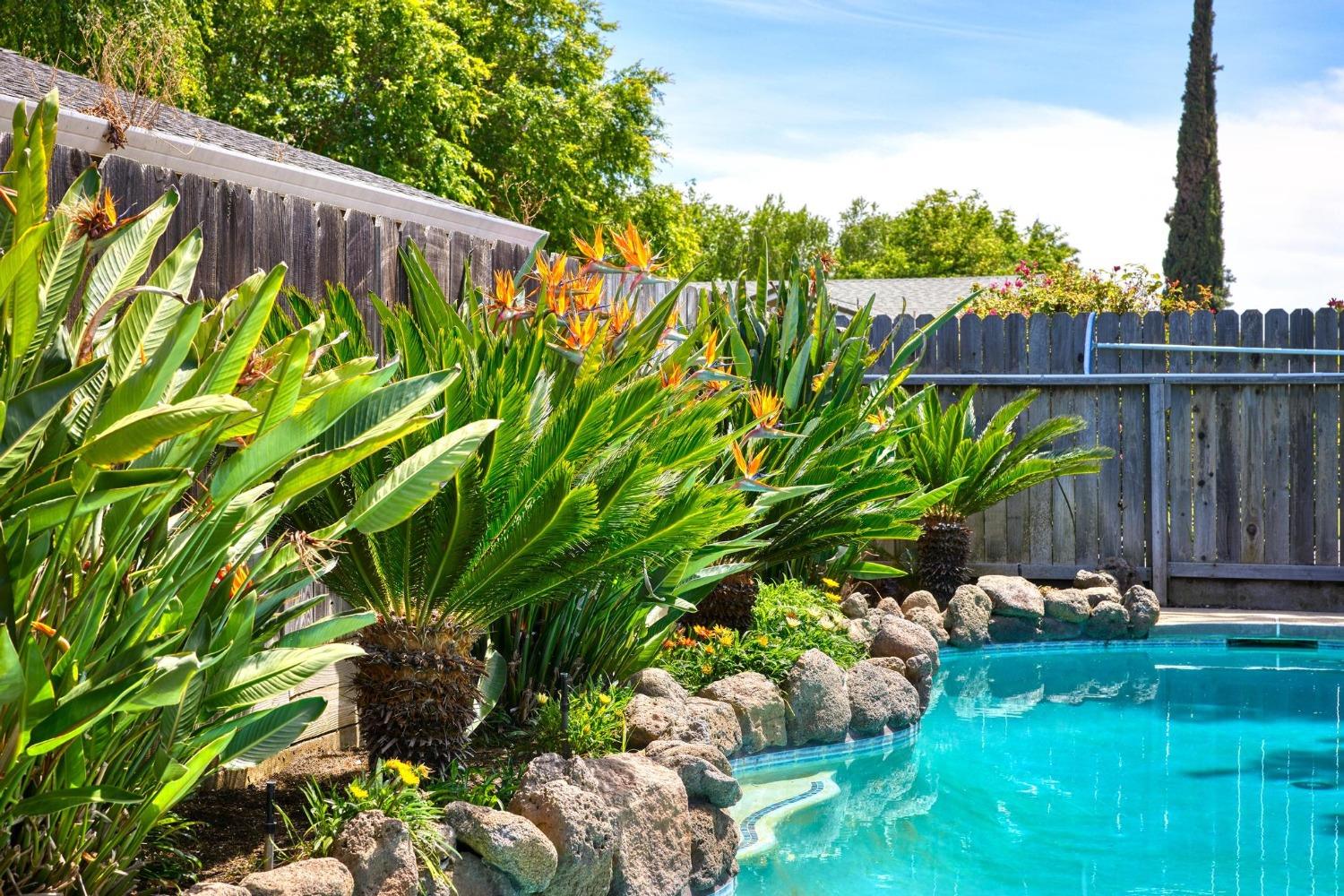 3900 Spring Oak Drive