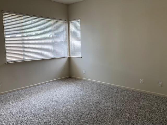 3717 Shady Valley Court