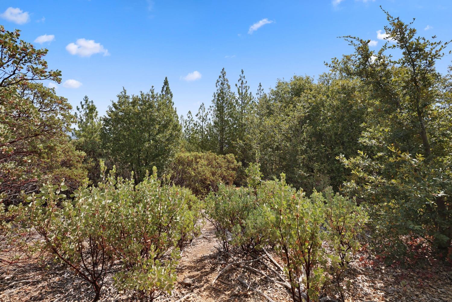 9450 Bondurant Mine Road