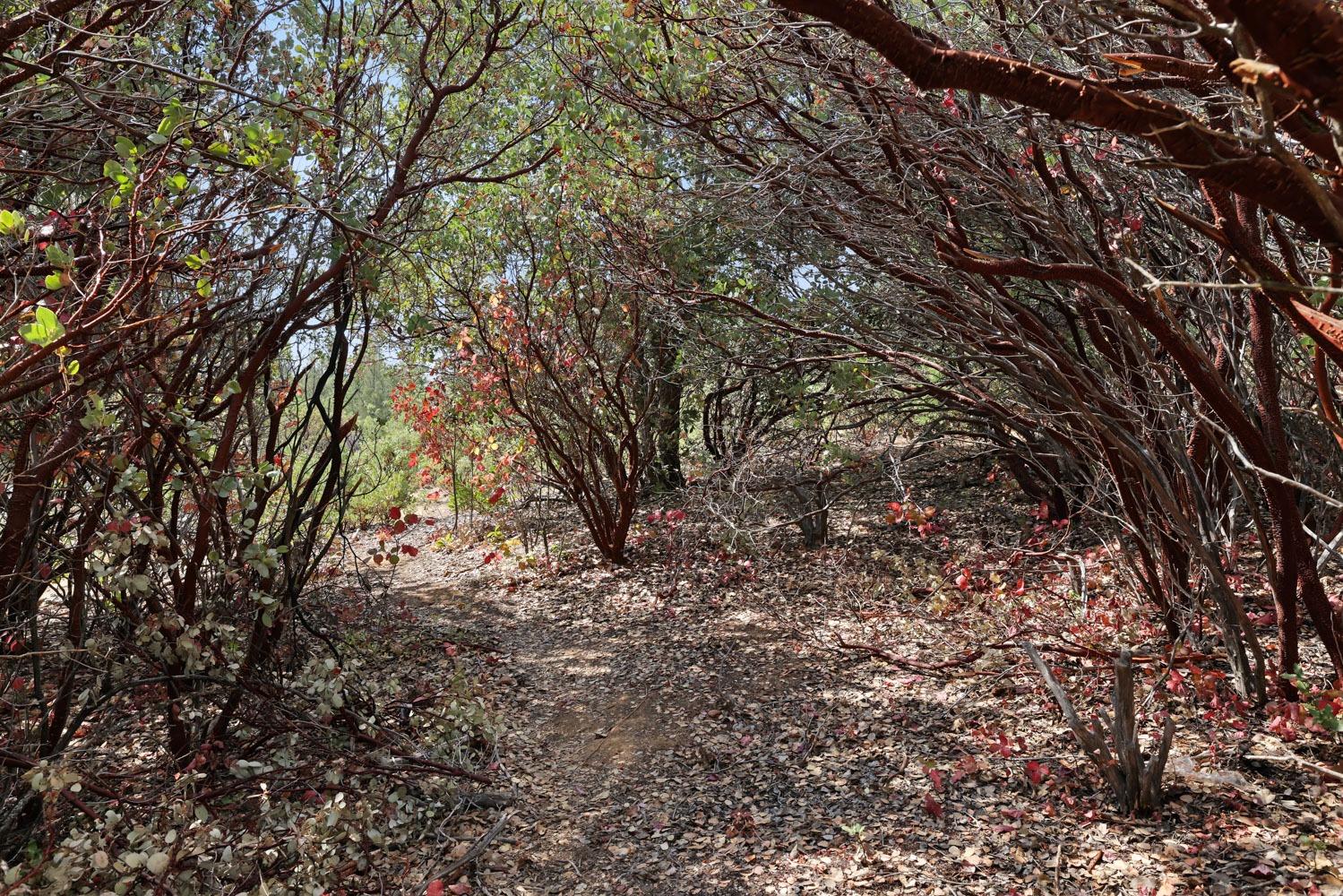 9450 Bondurant Mine Road