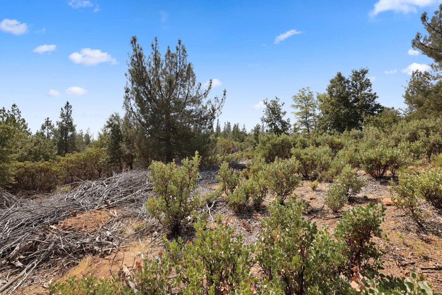 9450 Bondurant Mine Road