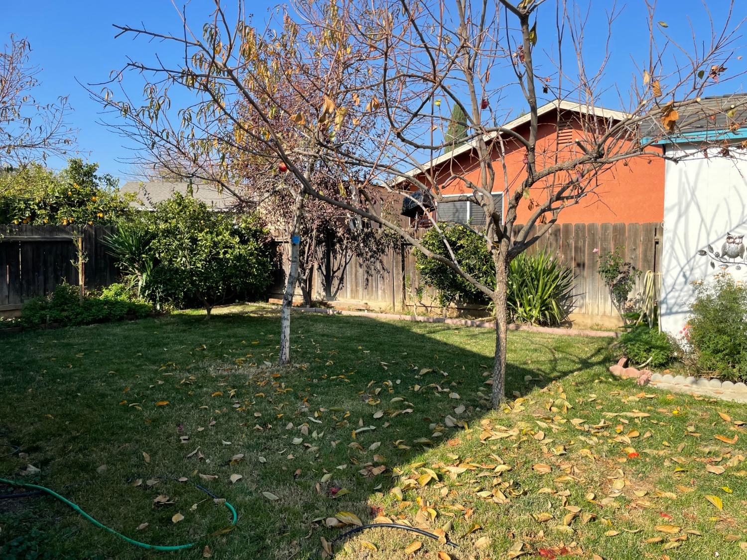 183 Brook Hollow Drive