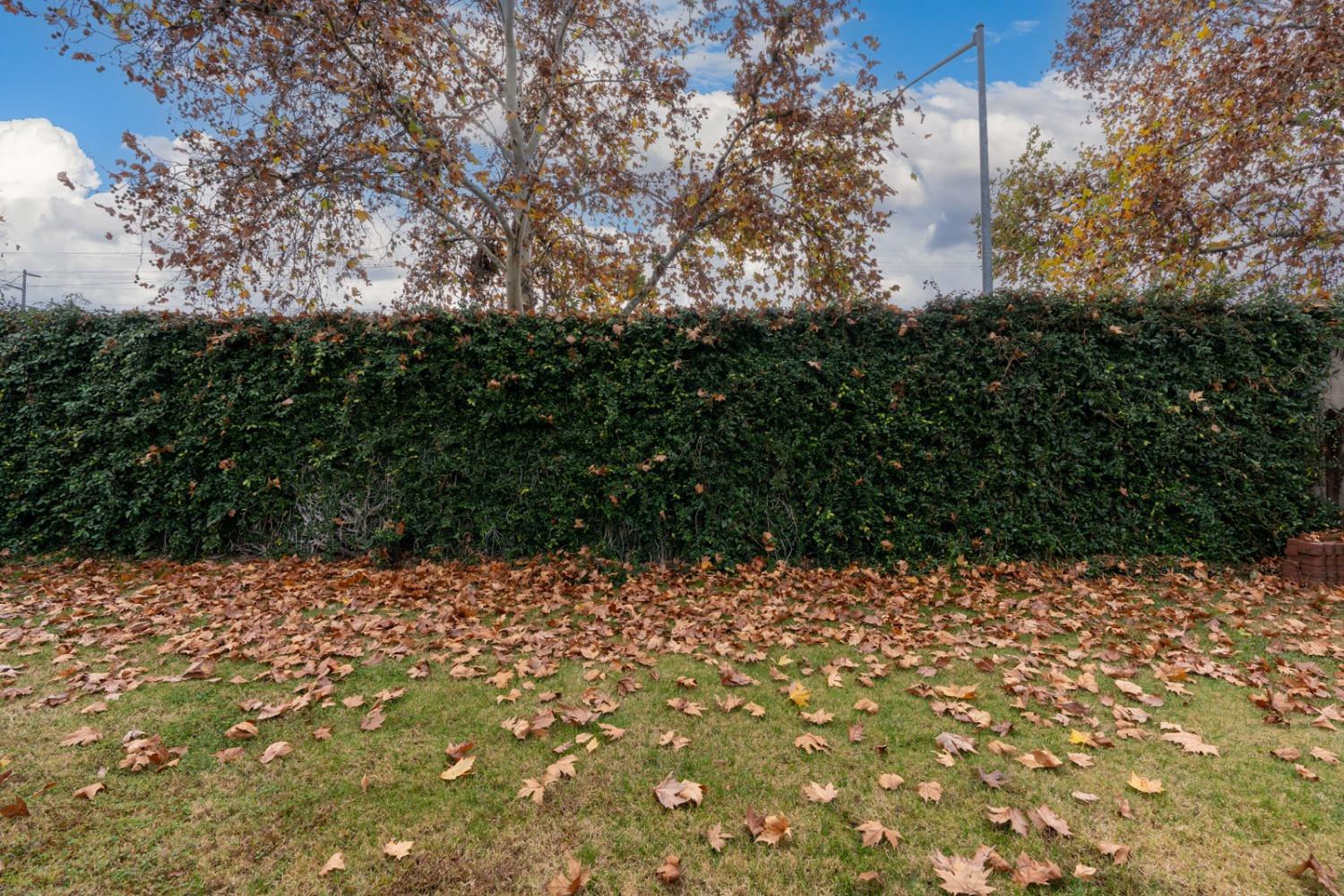 3920 El Portal Place