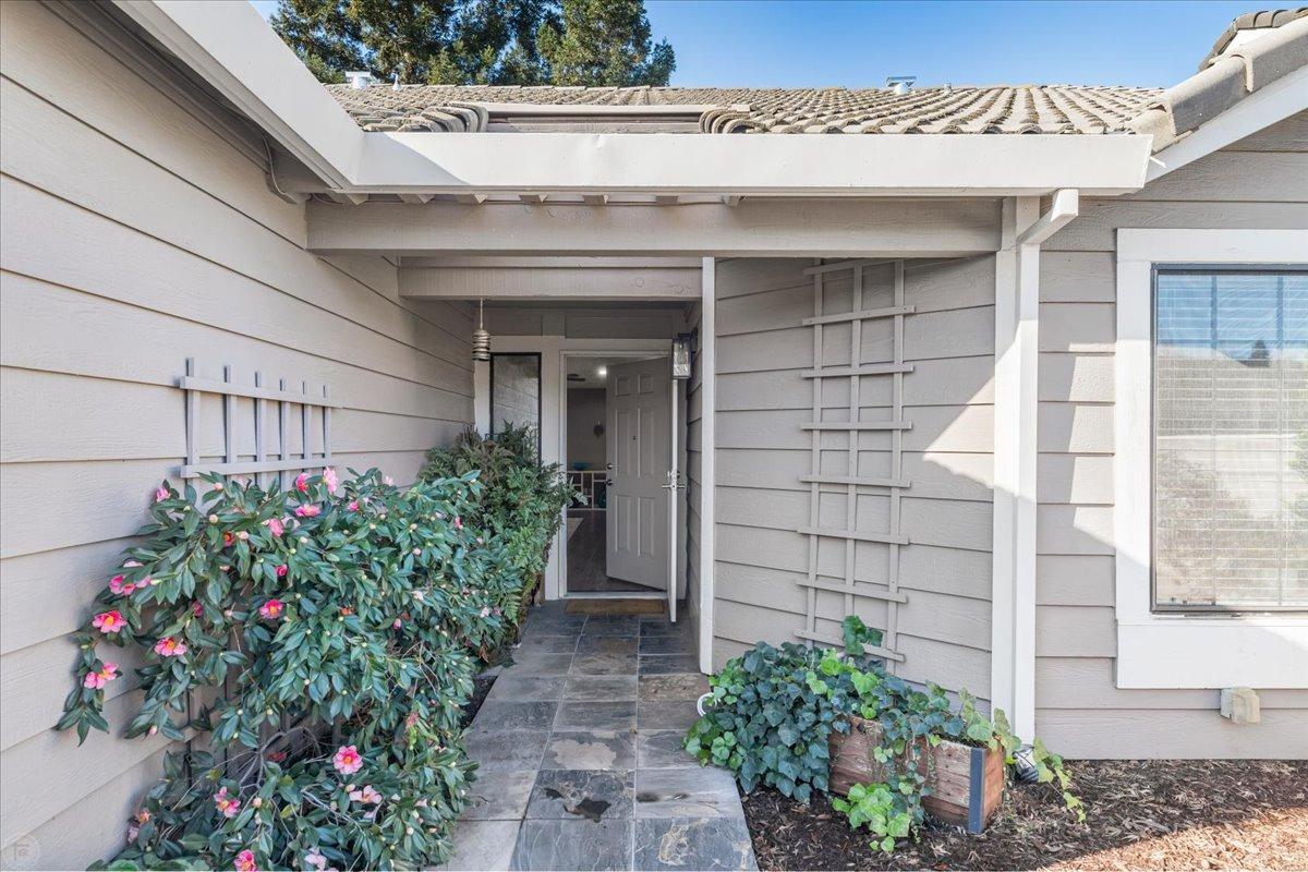 3605 Thomas More Way