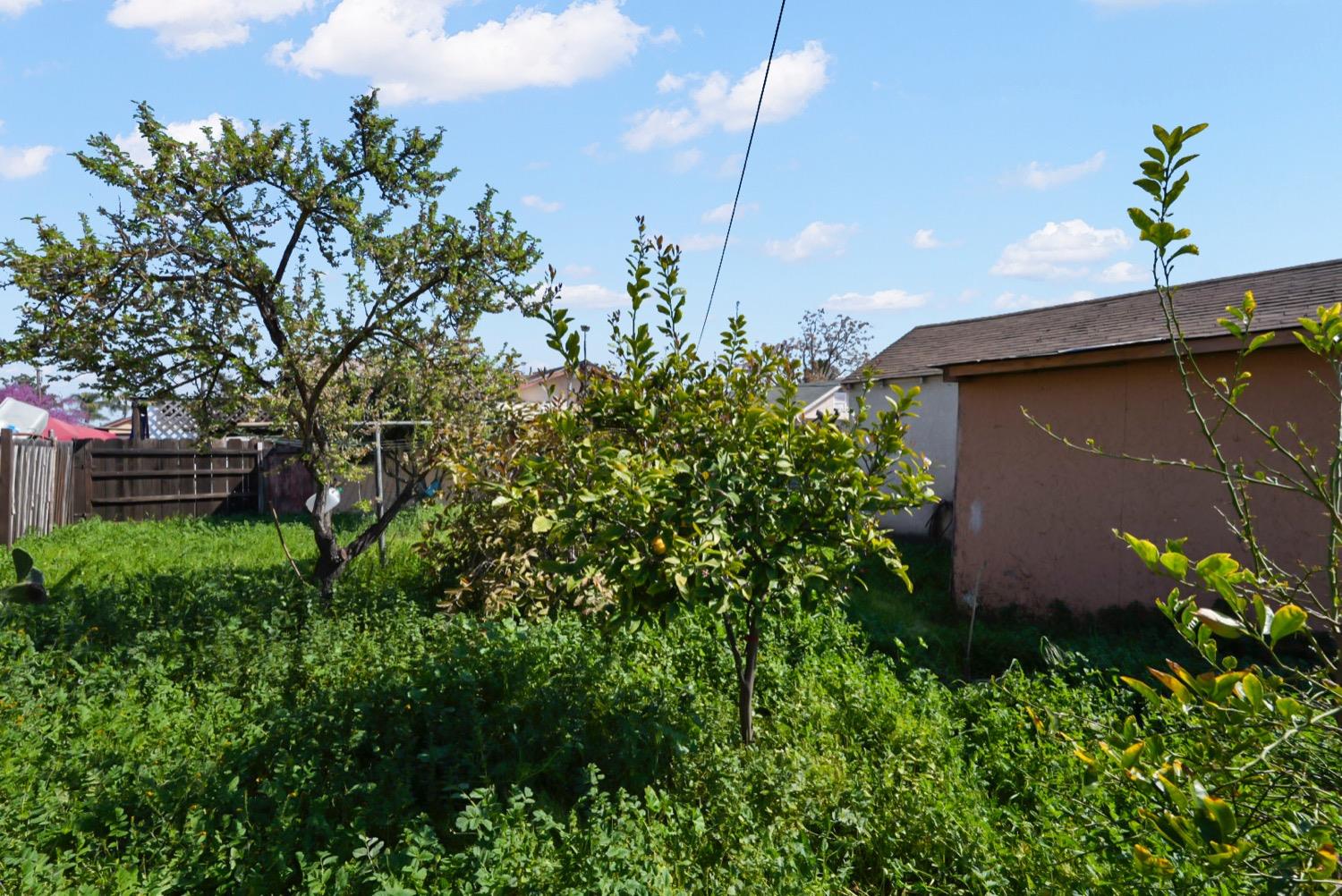 3609 Tamarack Avenue