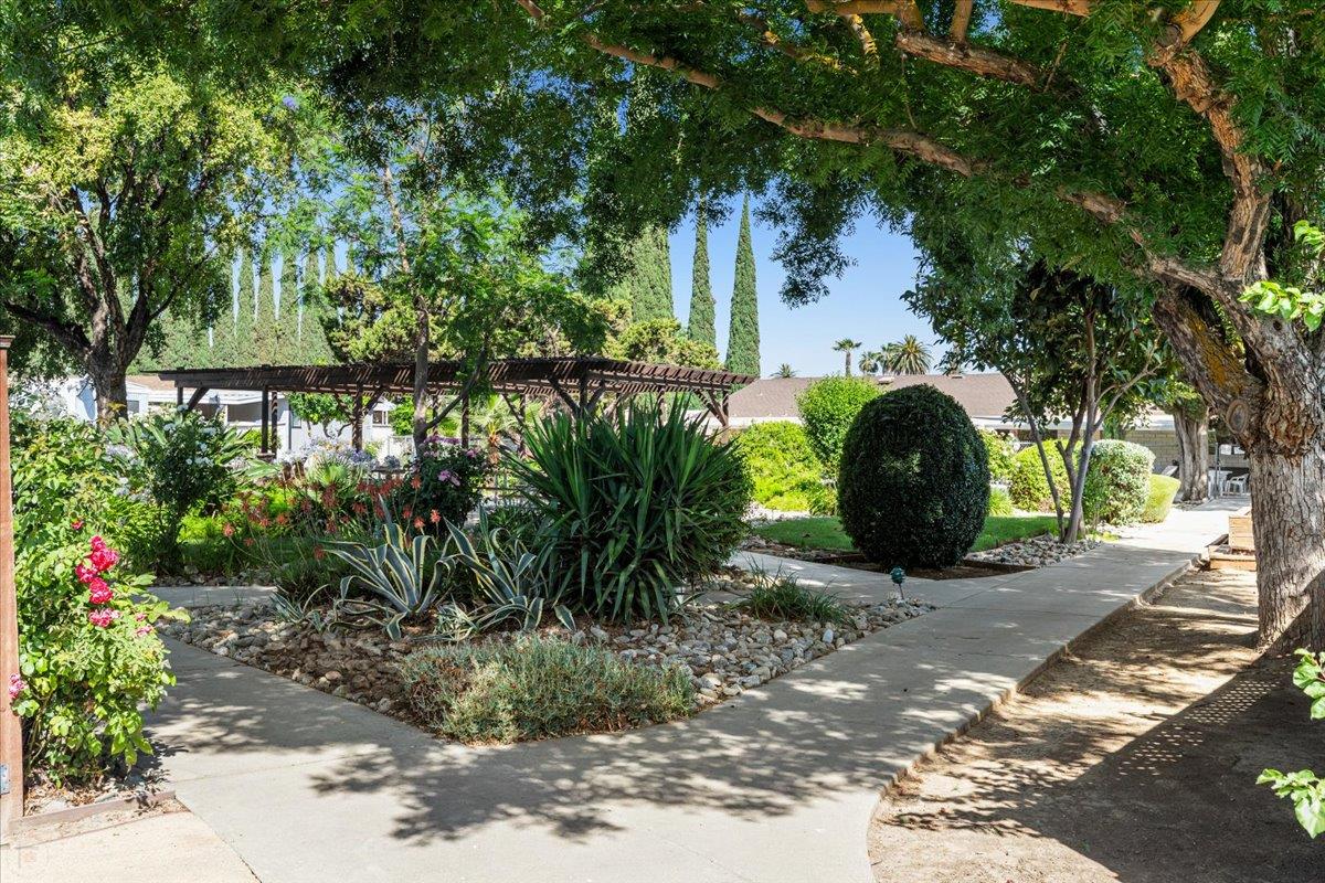 250 E Las Palmas Avenue 88