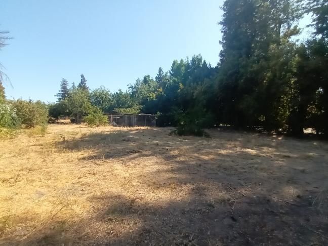 1824 California Avenue