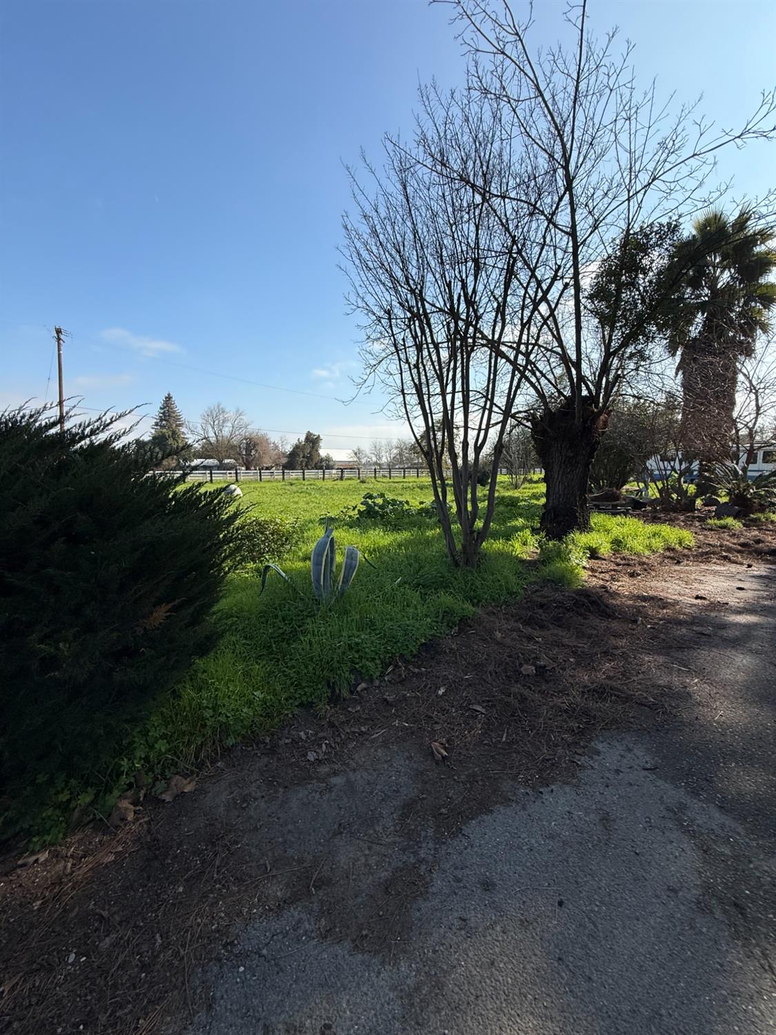 1824 California Avenue