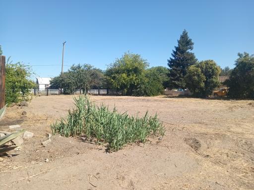 1824 California Avenue