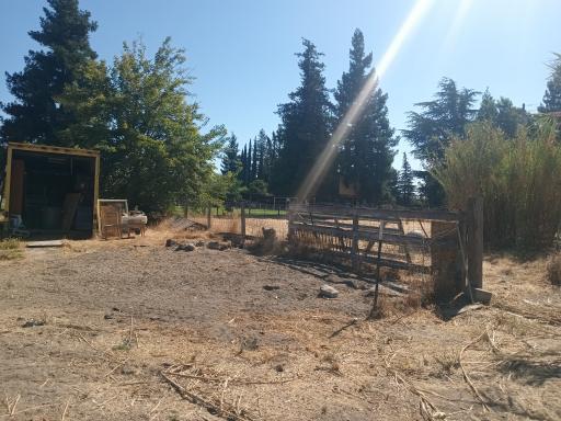 1824 California Avenue