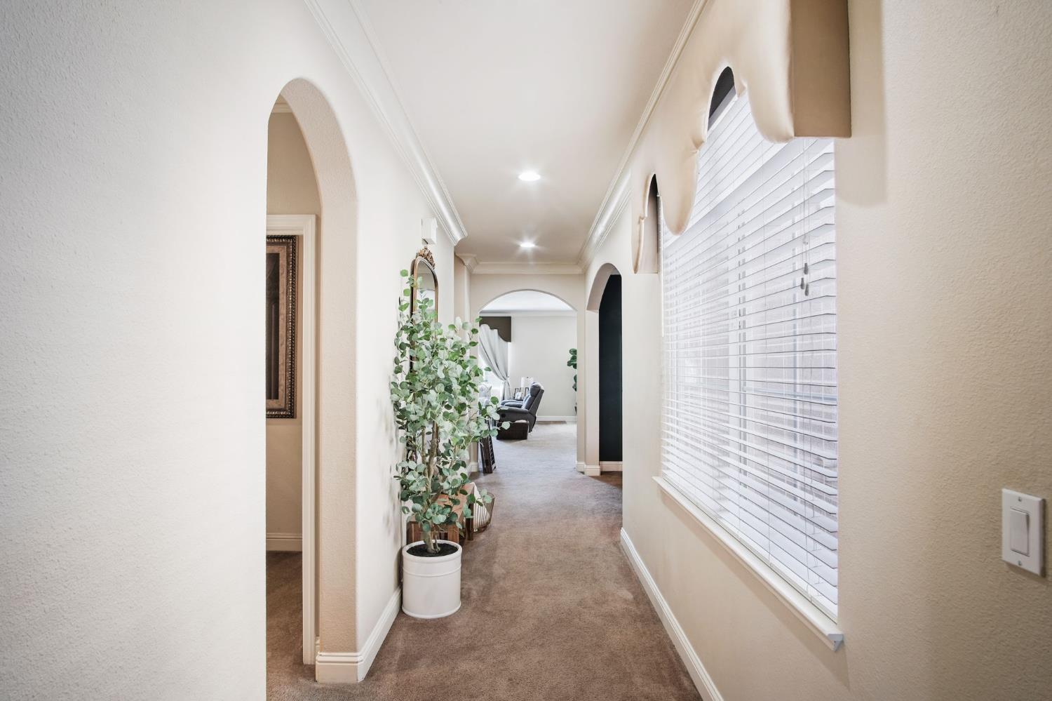 3880 Old Oak Drive
