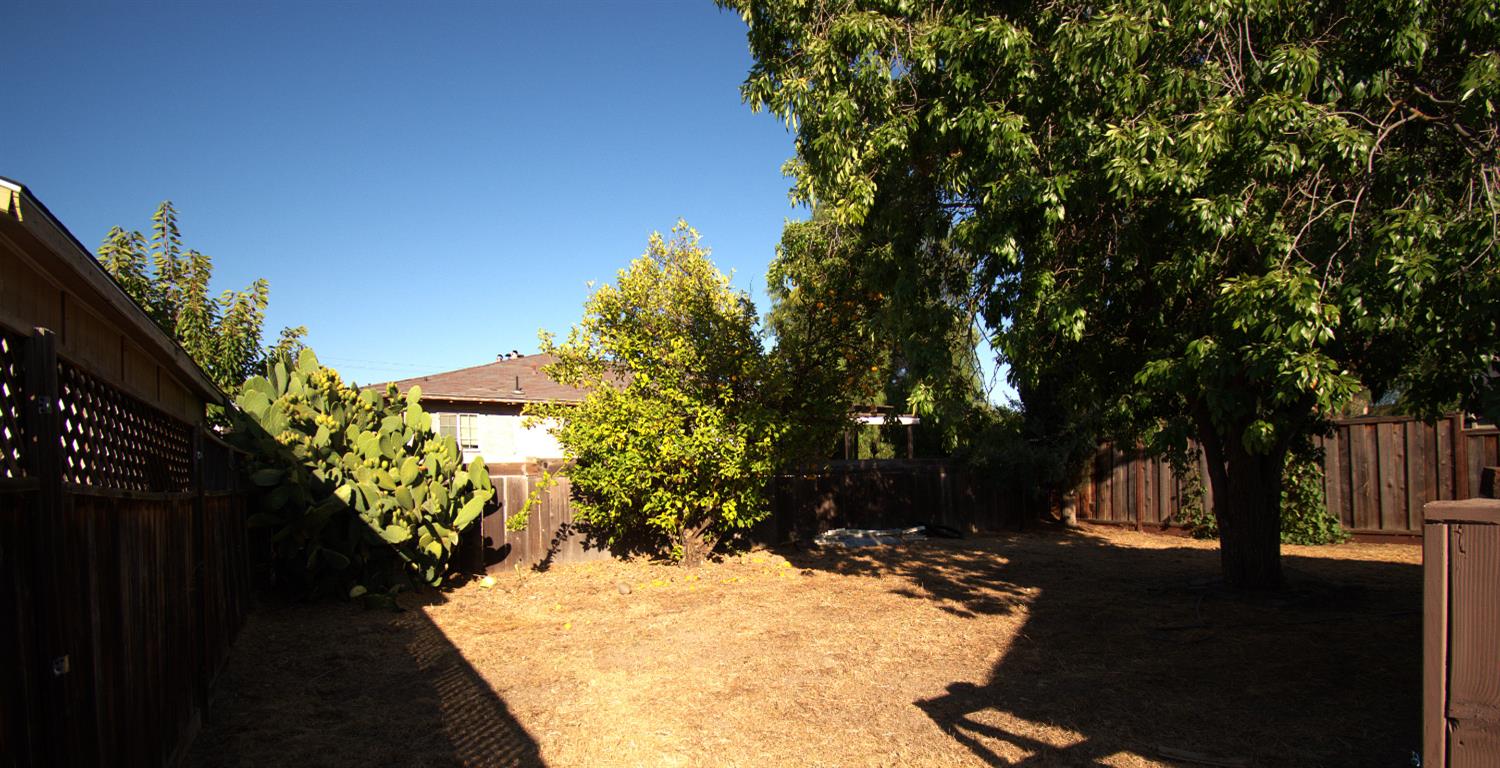 342 Adelle Street