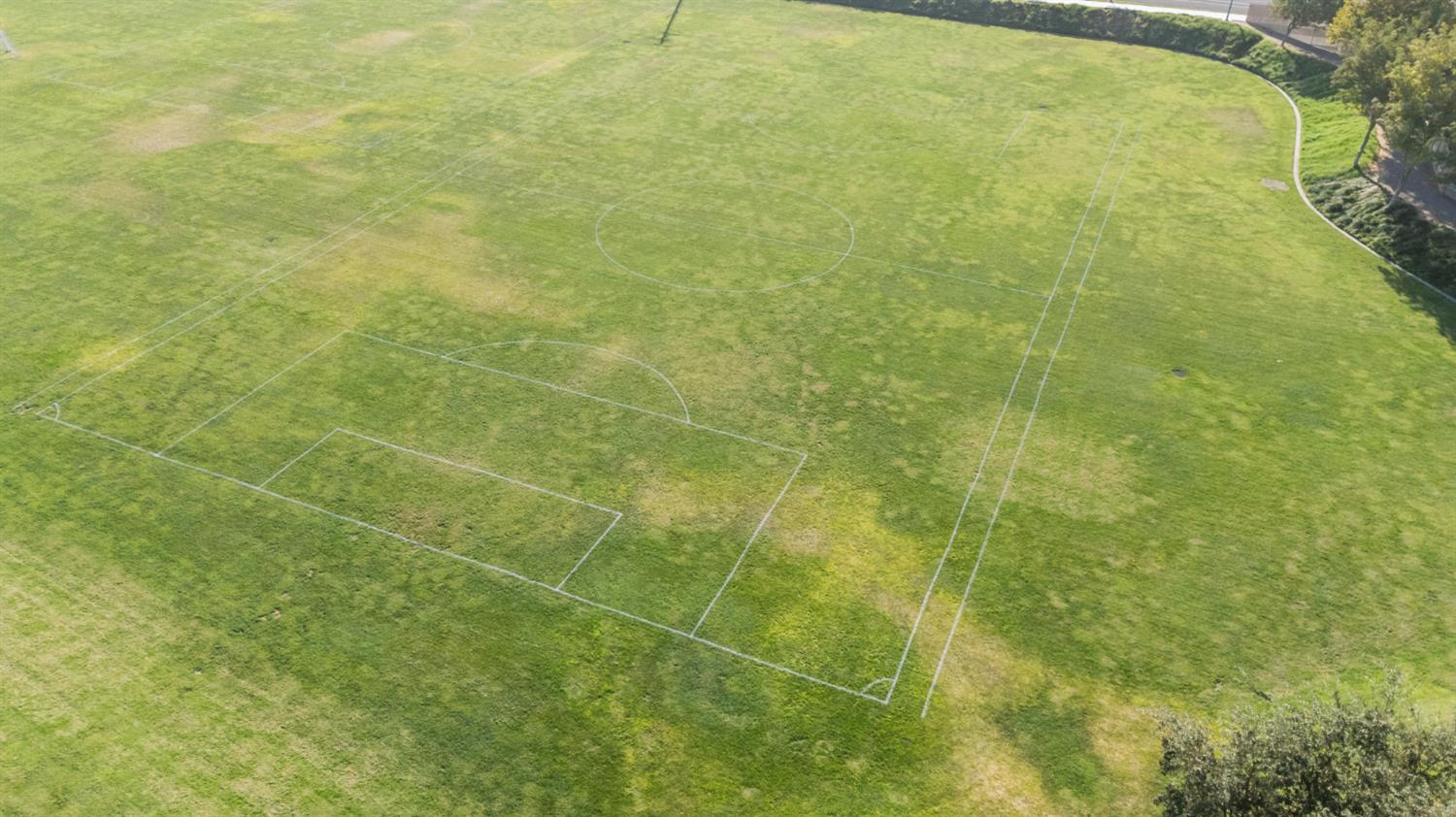 345 Cinnamon Teal Way