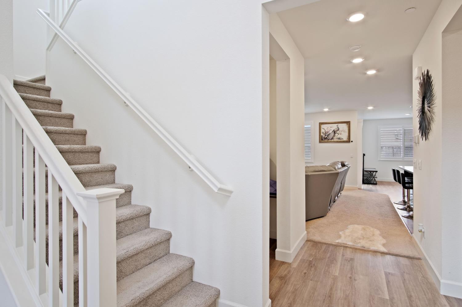 2335 Orchis Drive