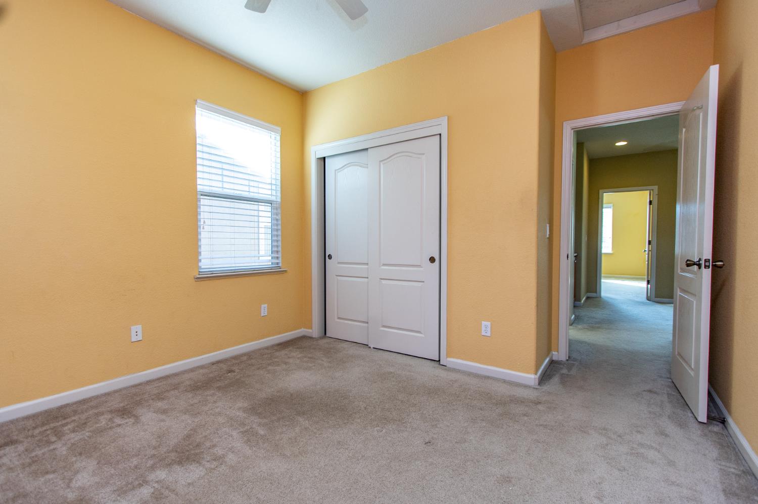 1920 Trail Way
