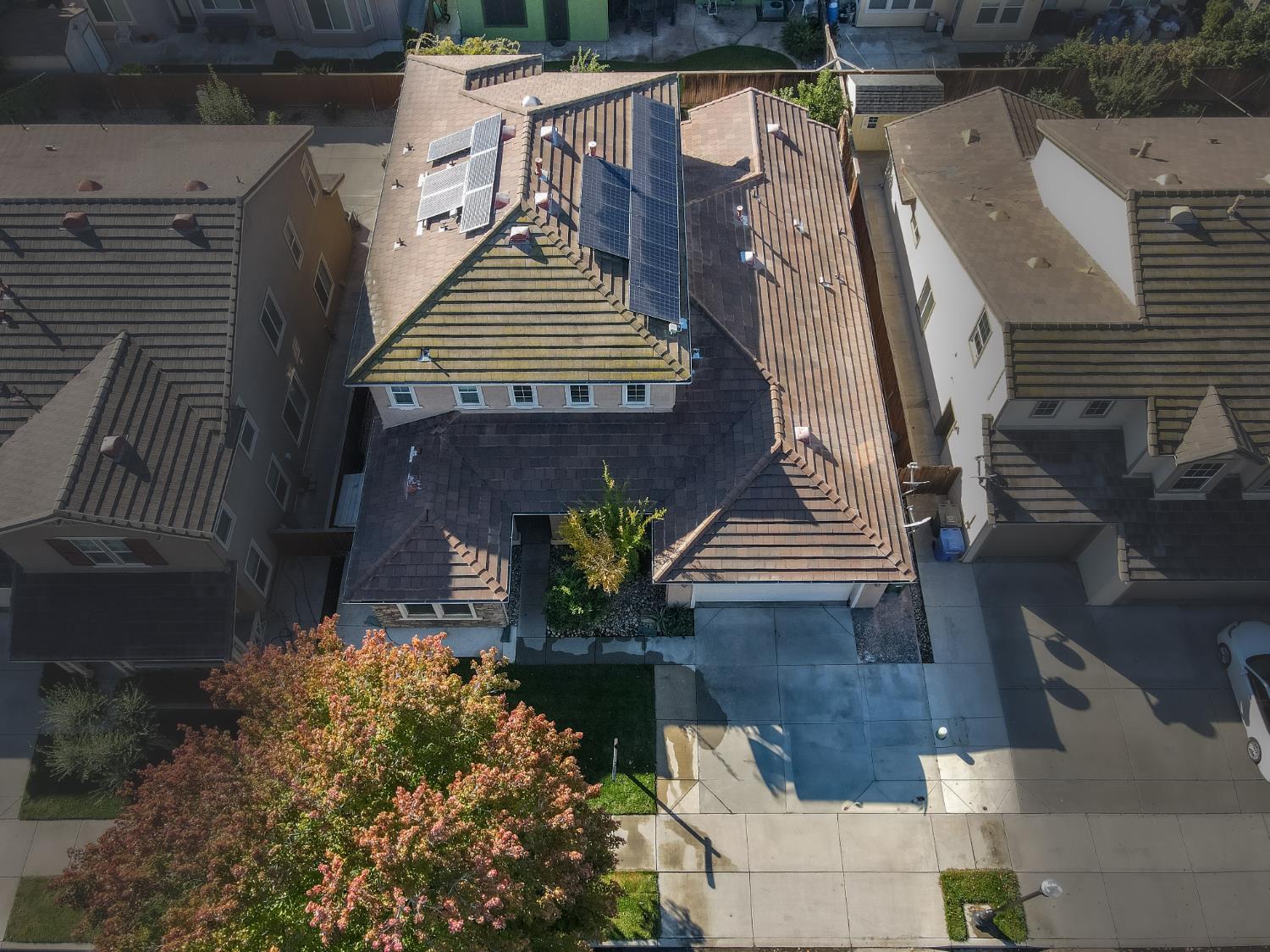 1920 Trail Way