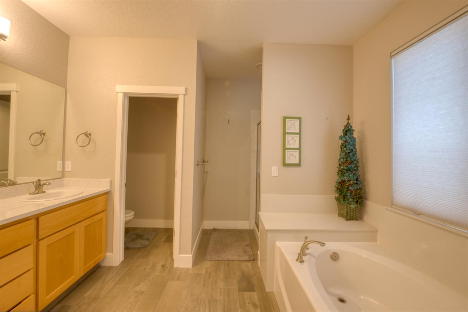 1129 Imperial Lily Drive