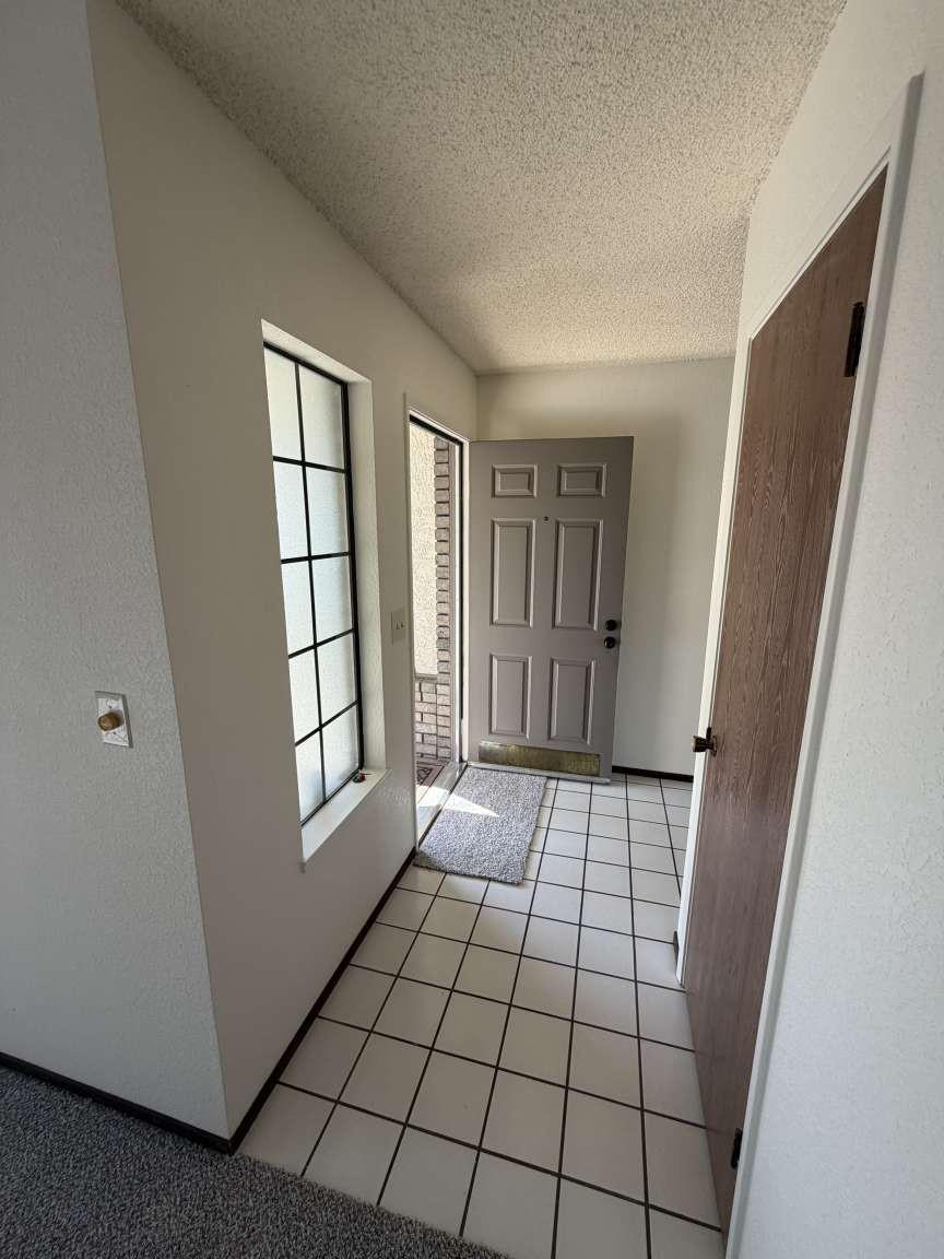 3413 Wild Palms Drive