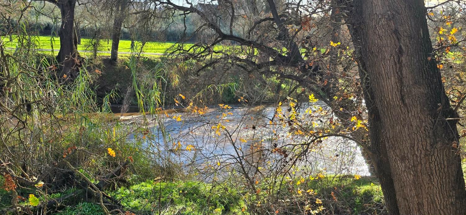 1500 Scenic Drive 12