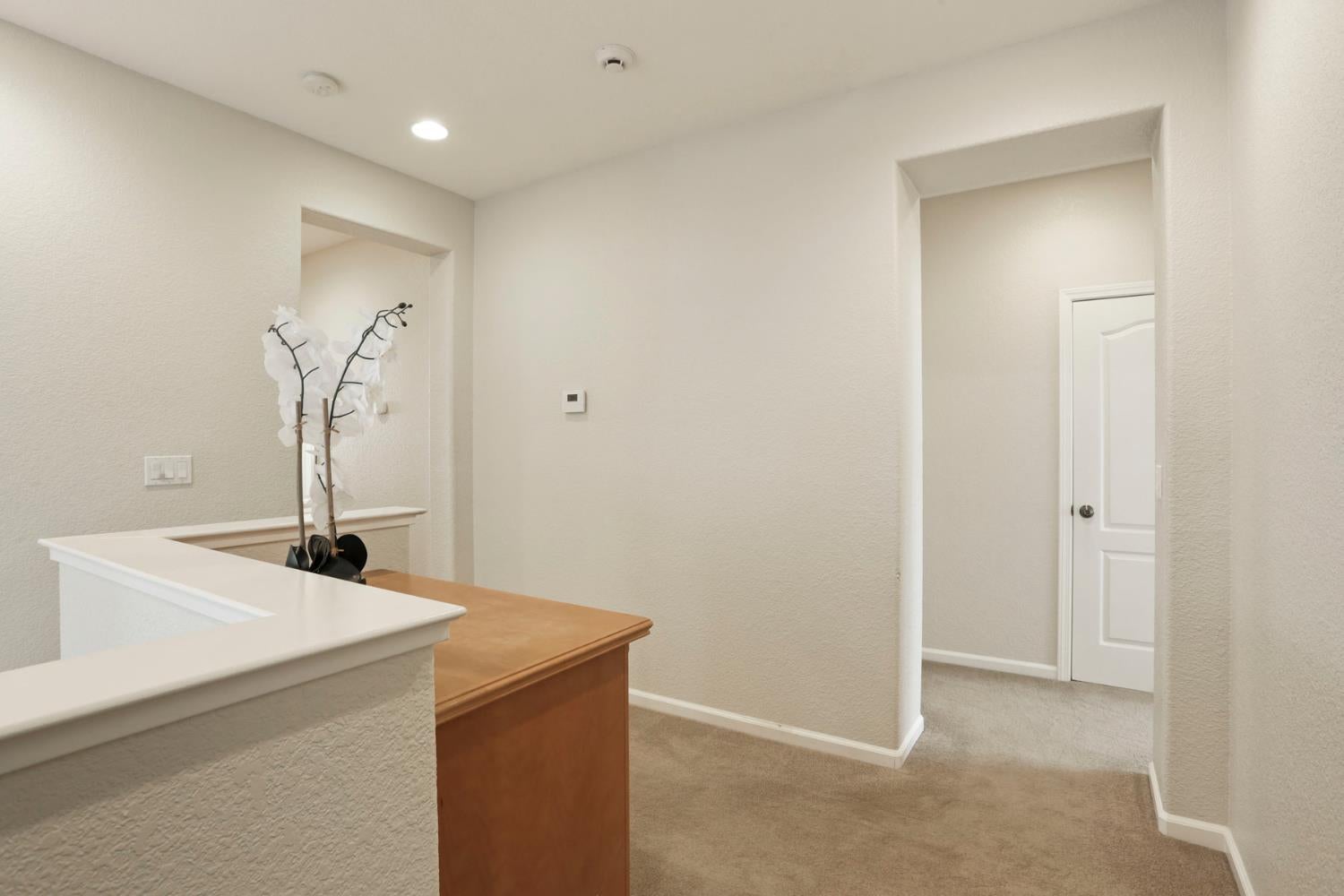 2805 Amir Drive