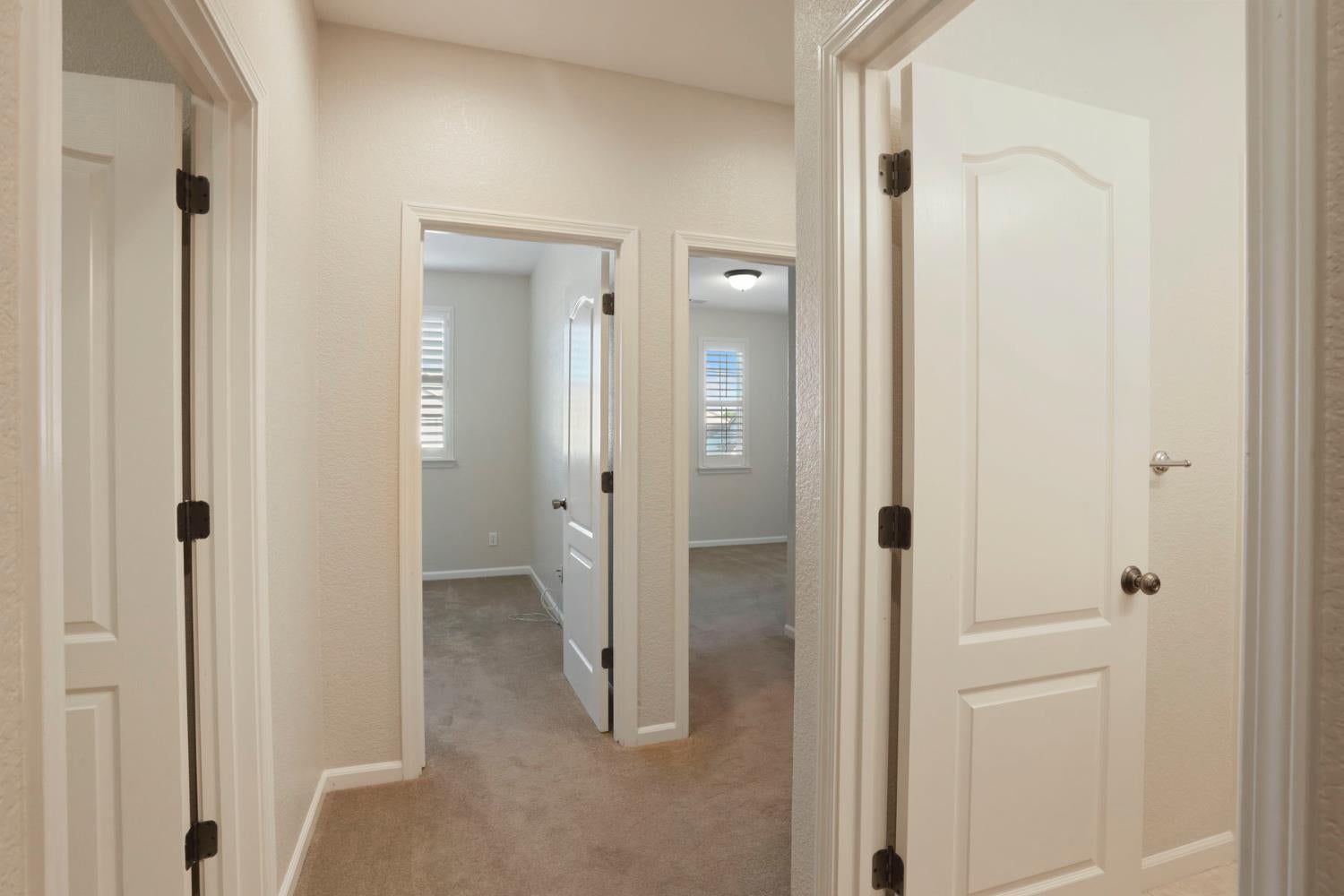 2805 Amir Drive