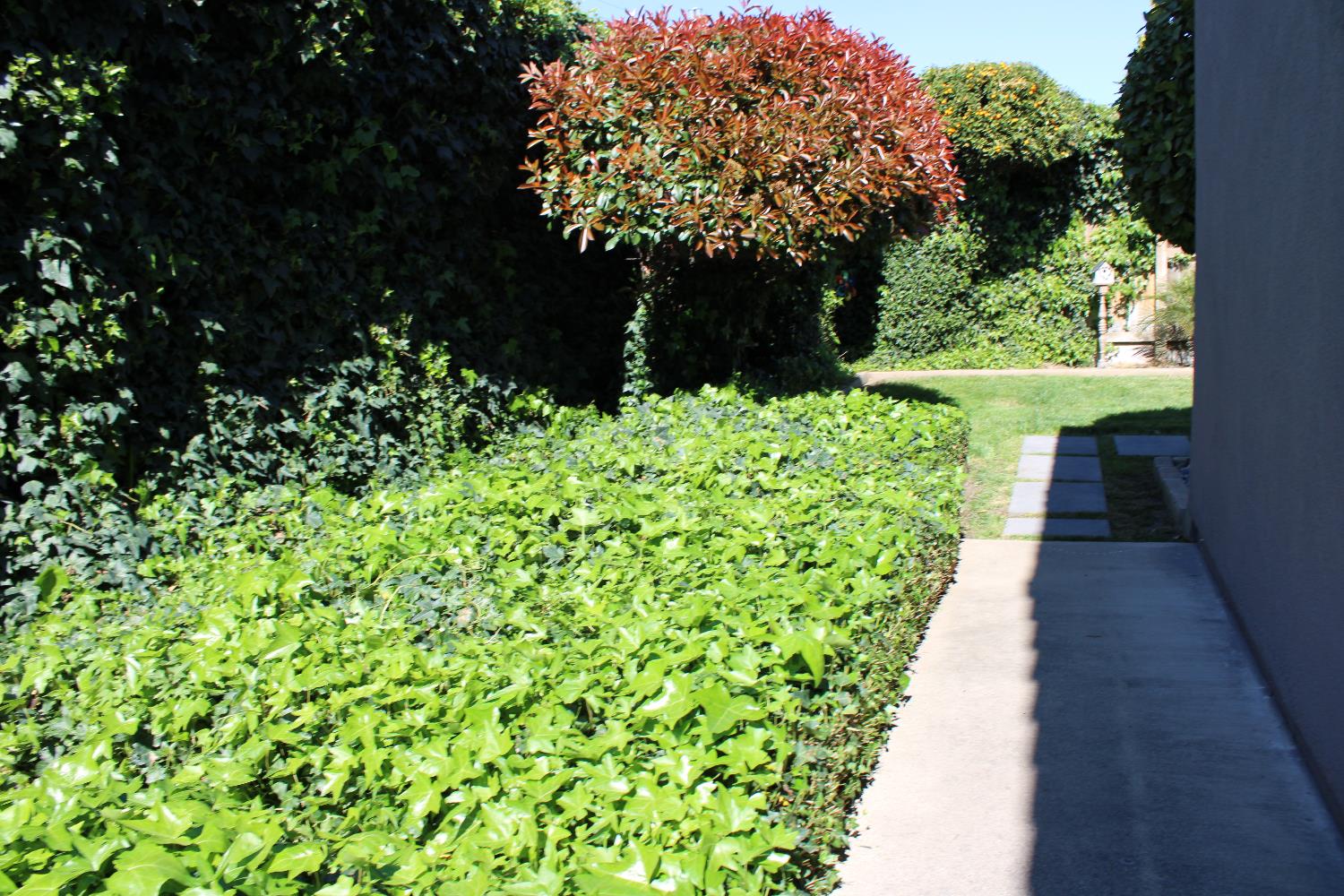 1637 Carlisle Avenue