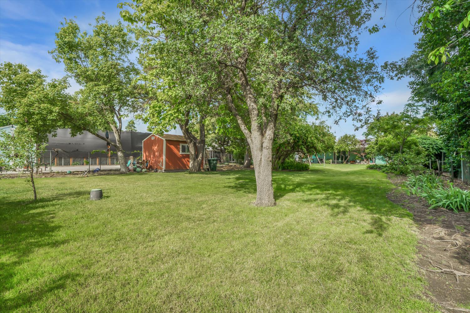 531 Locust Avenue