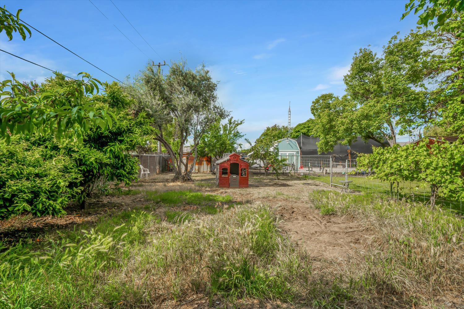 531 Locust Avenue