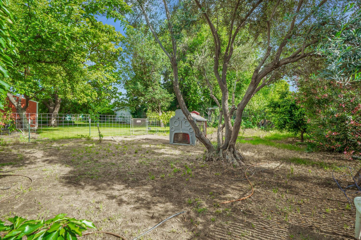 531 Locust Avenue