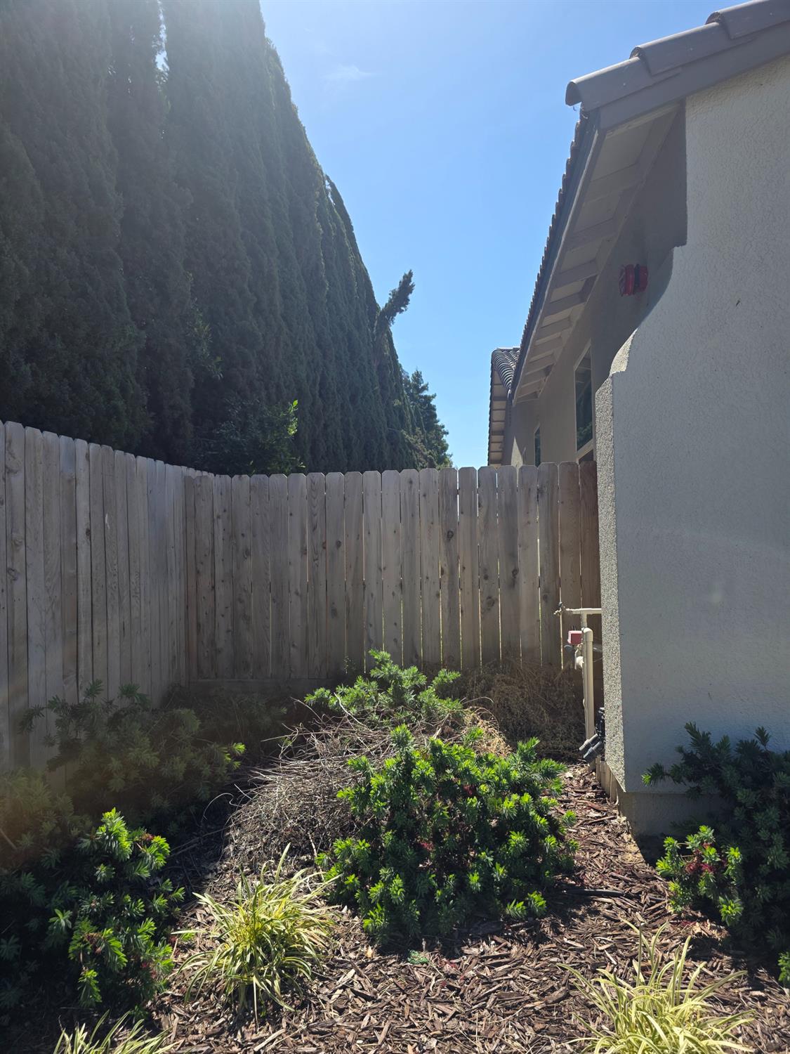 3705 BERKELEY