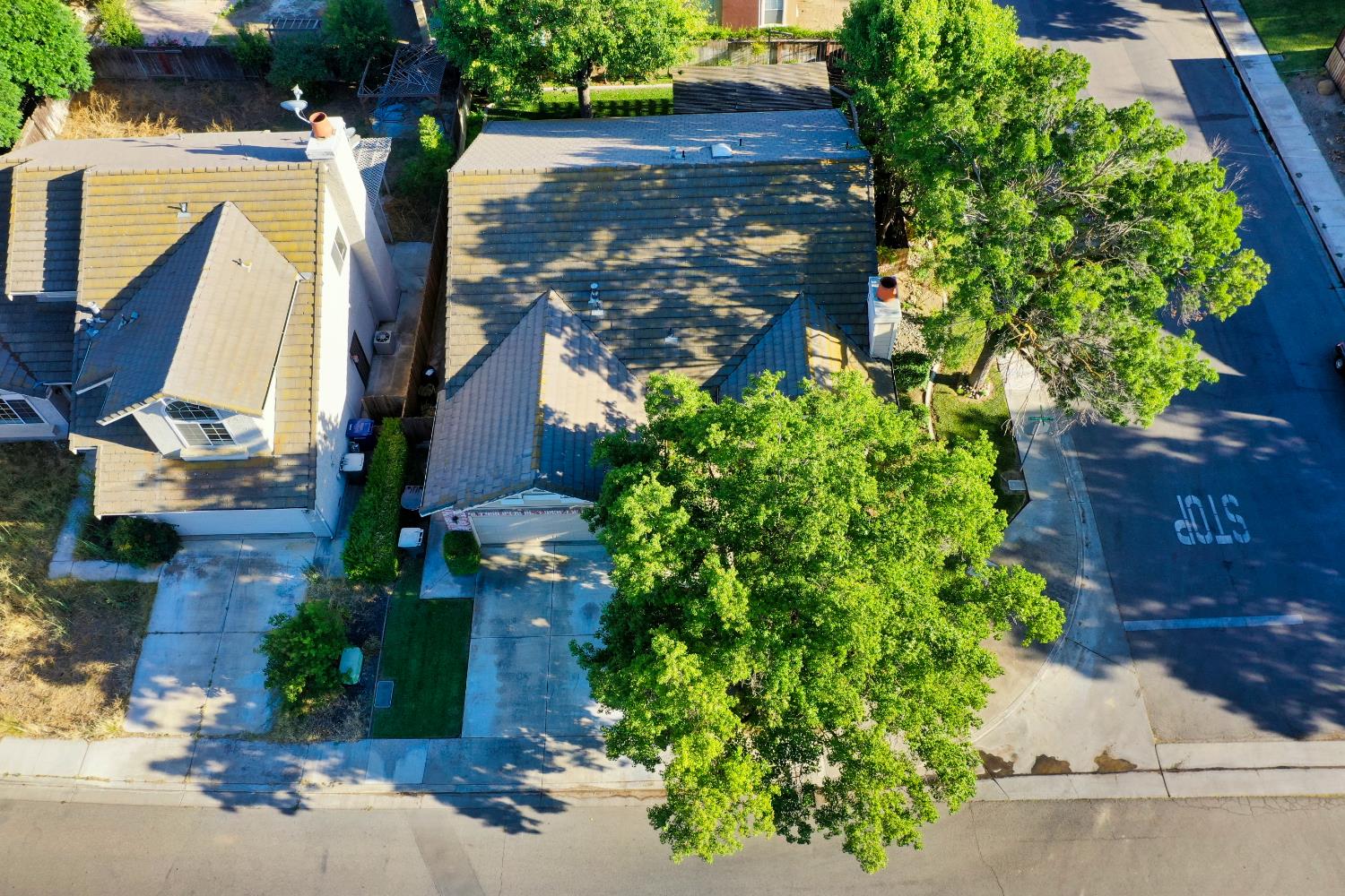 1124 Strawbridge Drive