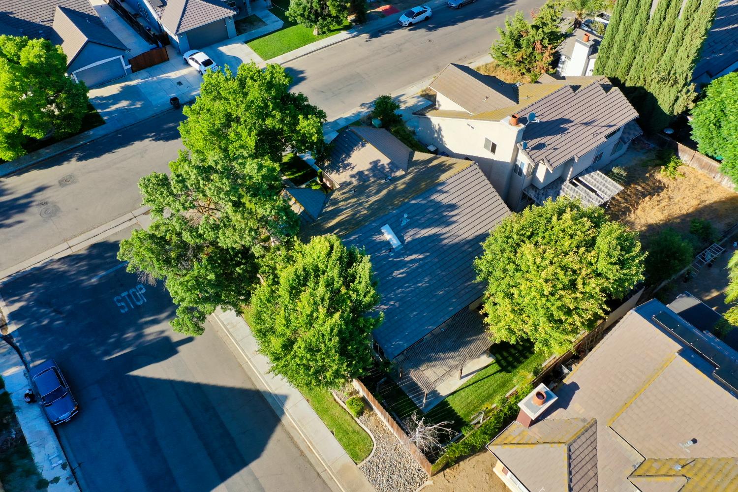 1124 Strawbridge Drive