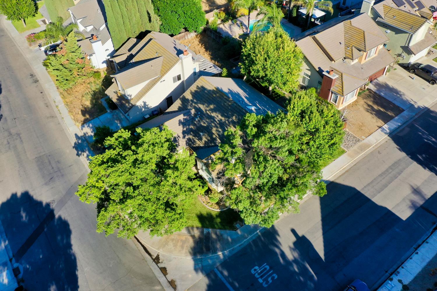 1124 Strawbridge Drive