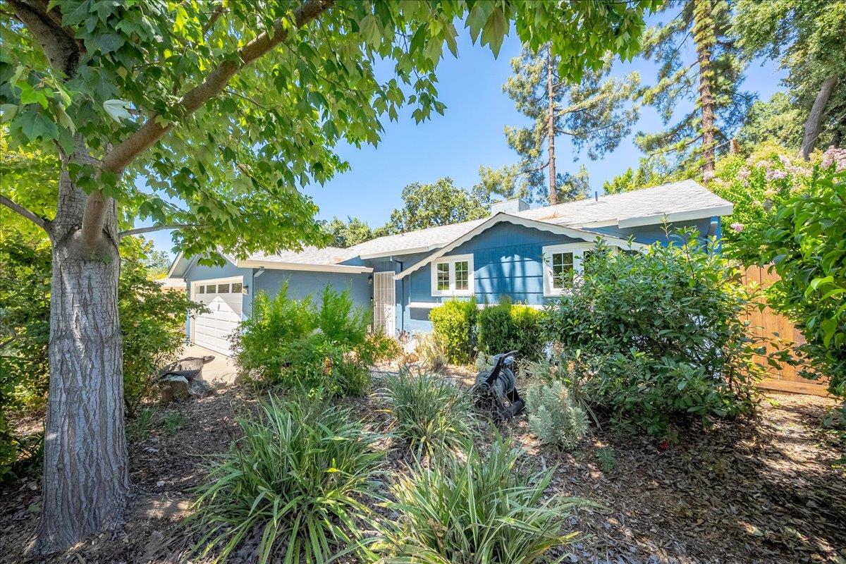 2321 Laredo Road