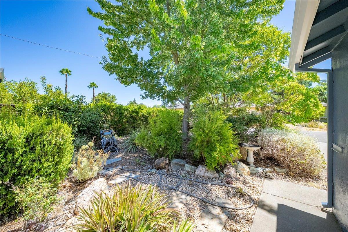 2321 Laredo Road