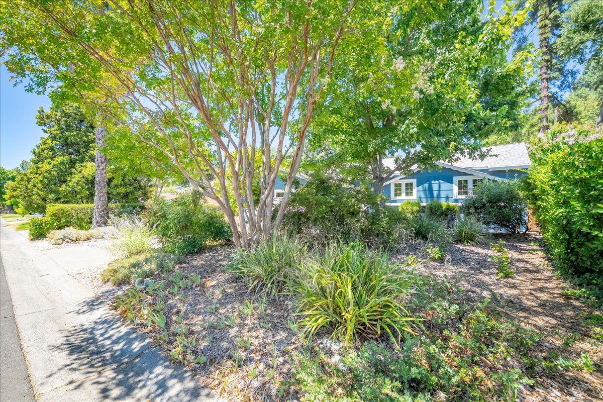 2321 Laredo Road