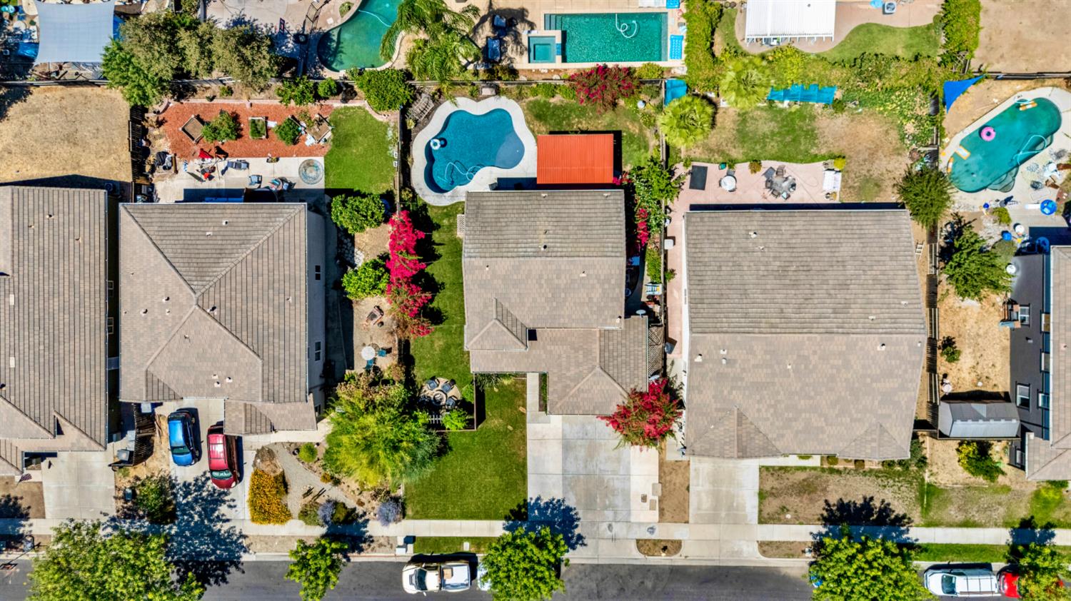 1443 Longhorn Lane