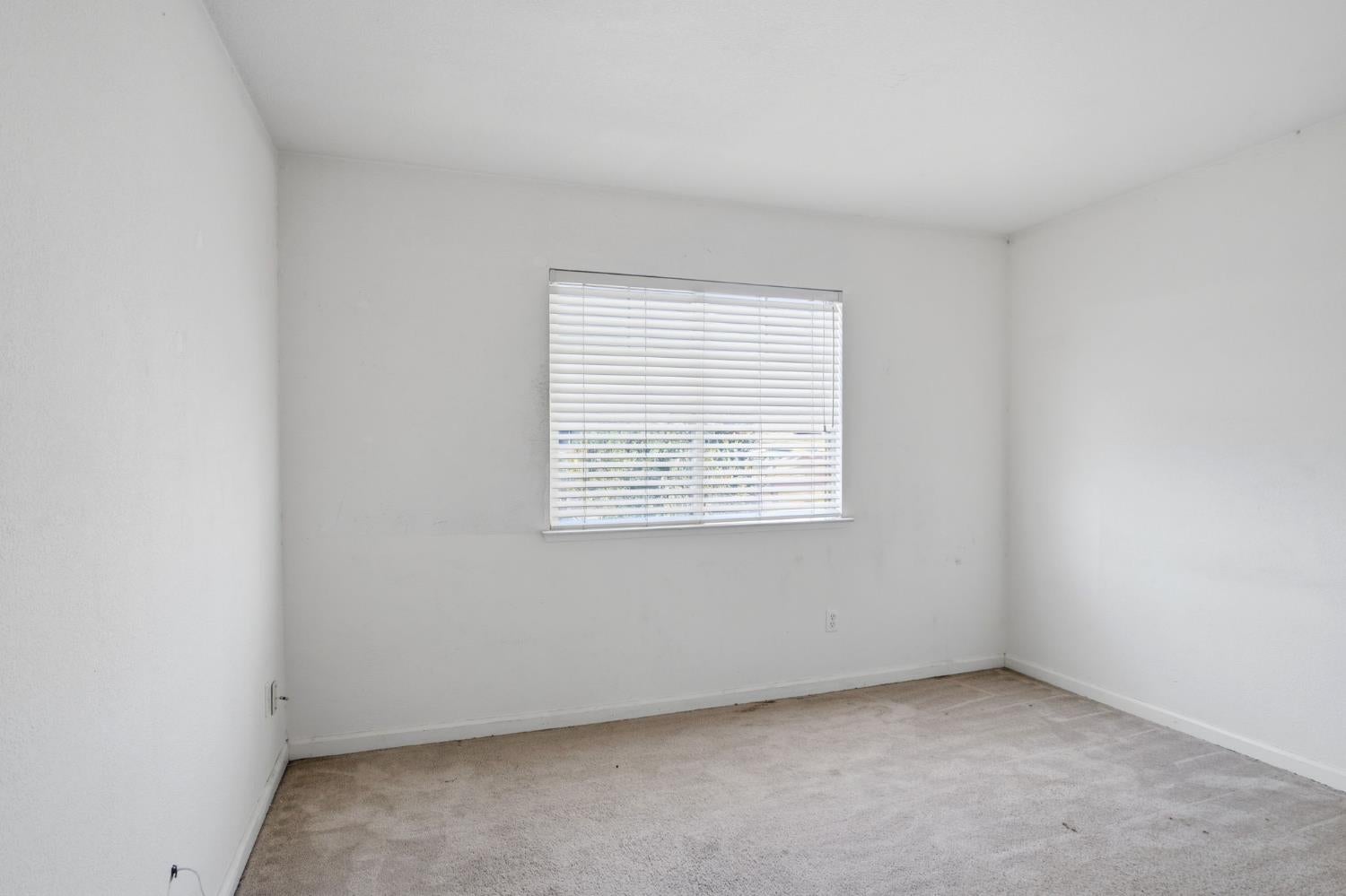 442 Olivine Avenue