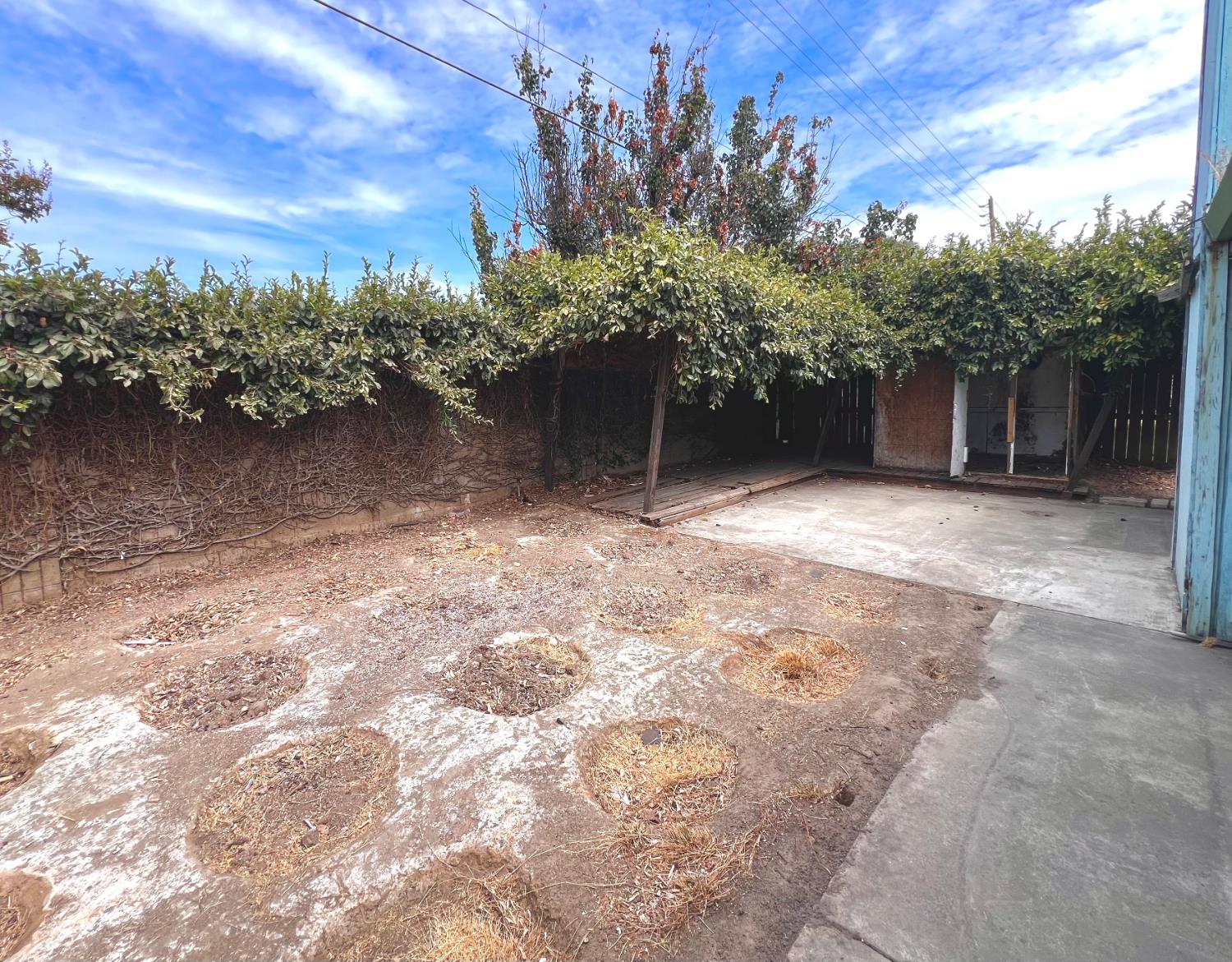 2025 Olive Branch Drive